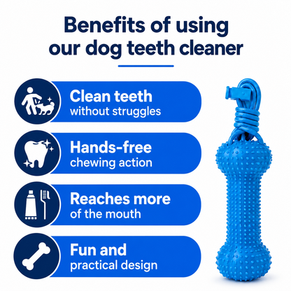 The No-Fuss Way To Keep Your Dog’s Teeth Cleaner